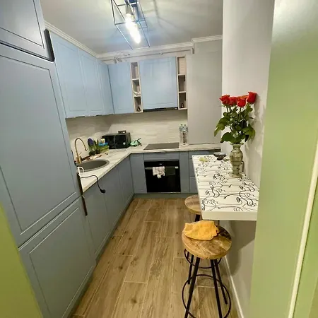 Lapsus Nest Stylish Retreat In Platinia Apartman Kolozsvár